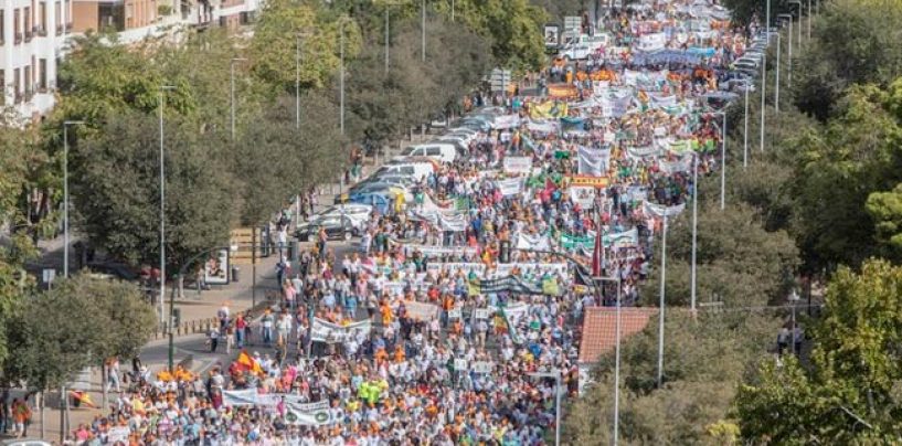 La manifestación de Córdoba o la poca visibilidad de los problemas de la pesca deportiva