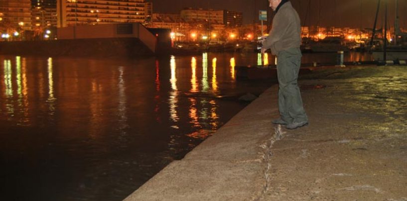 Llega el frío, momento para los sargos a rockfishing