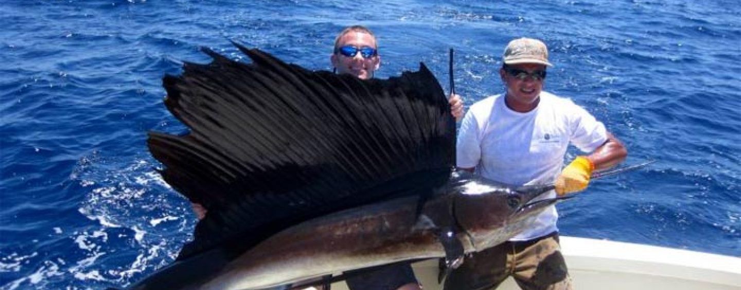 Destino de pesca: Quepos el paraíso en Costa Rica de la pesca del pez vela