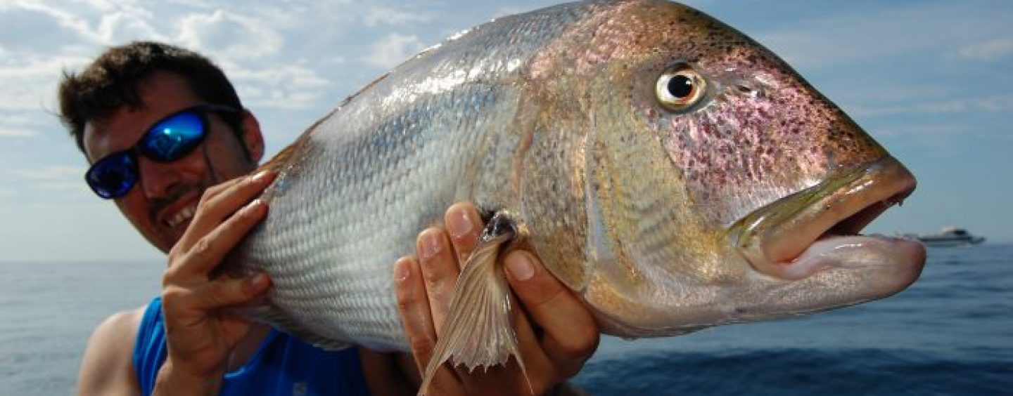 El reciclaje del pescador: cómo adaptarse a cambios cada vez más vertiginosos