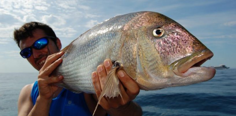 El reciclaje del pescador: cómo adaptarse a cambios cada vez más vertiginosos