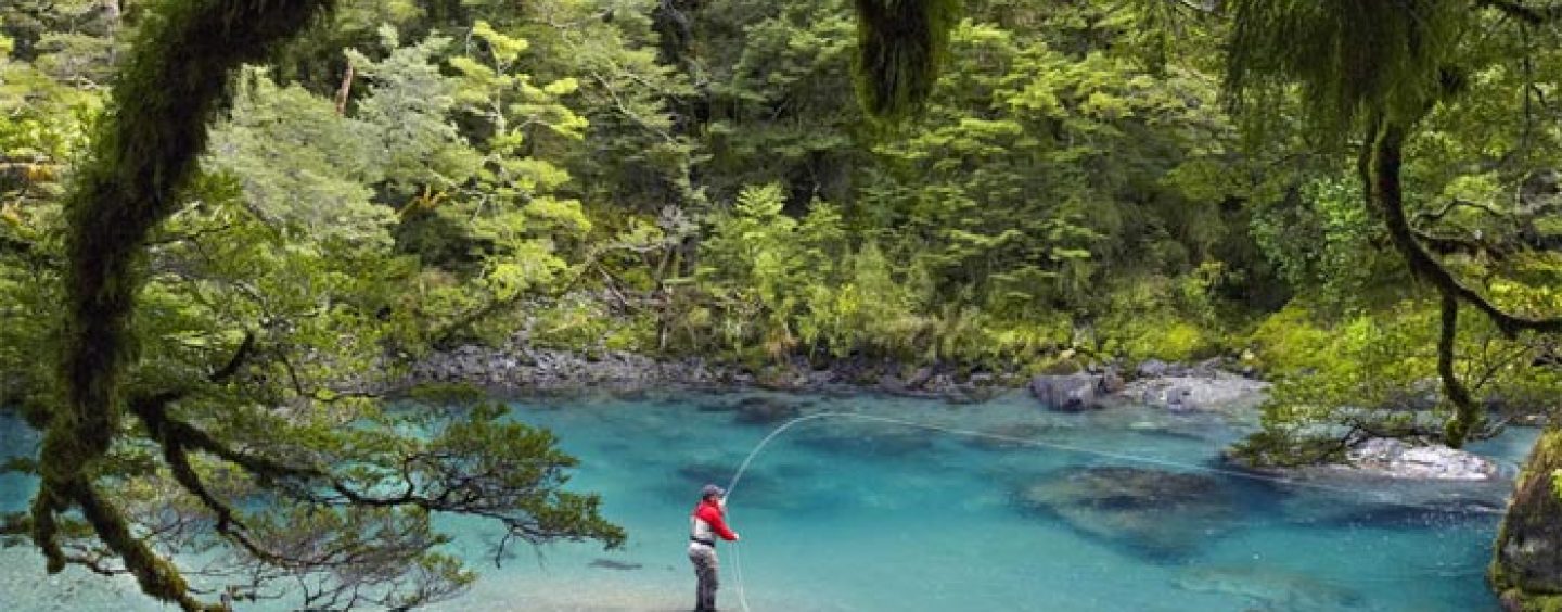 Destinos de pesca – Las enormes truchas comunes, salmones y reos del río Wairau (Nueva Zelanda)