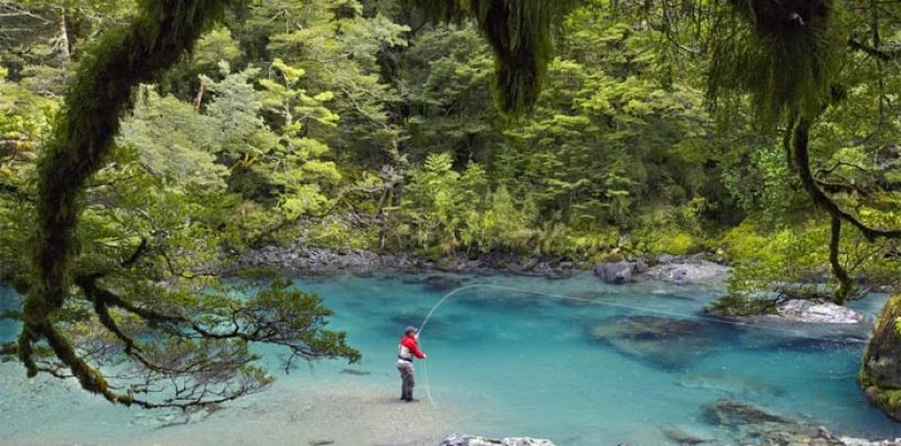 Destinos de pesca – Las enormes truchas comunes, salmones y reos del río Wairau (Nueva Zelanda)