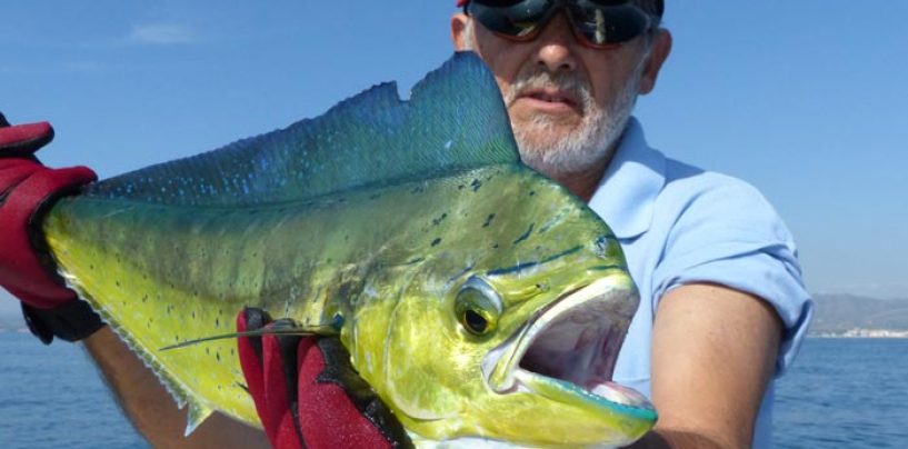 5 elementos indispensables para el pescador