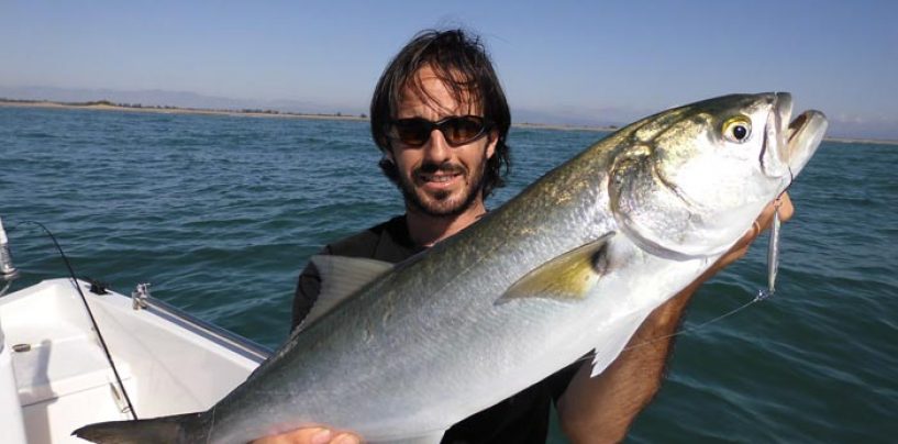 Pezcador al día, principales noticias de pesca (Marzo 2018, 2)