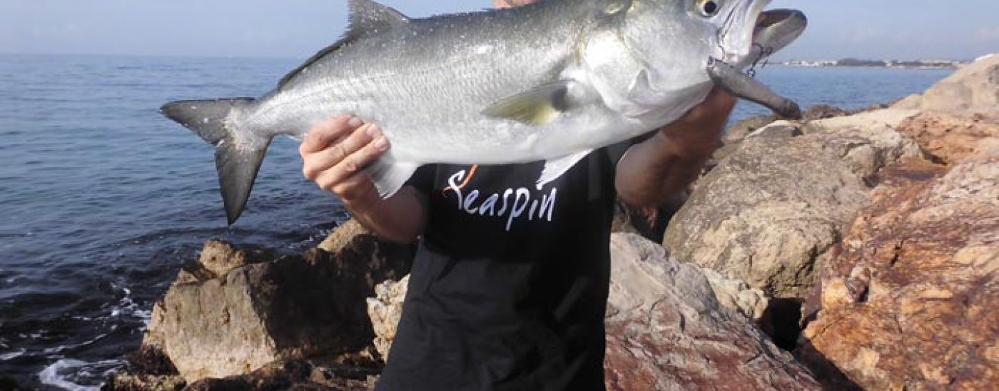 Cómo interpretar los mejores spots de pesca en el mar