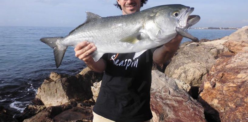 Cómo interpretar los mejores spots de pesca en el mar