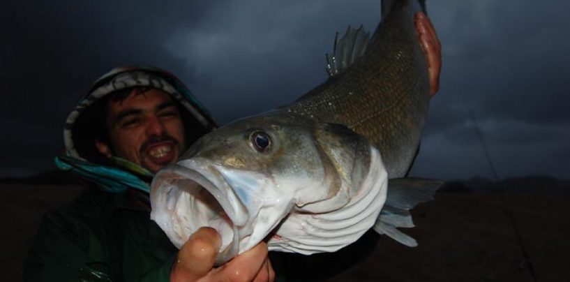 El clima en la pesca y su influencia