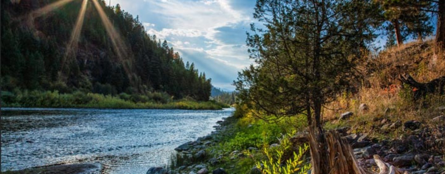 La pesca de la trucha en Montana (II): El río blackfoot, los tramos bajos