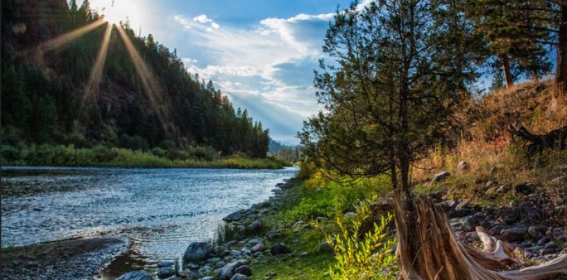 La pesca de la trucha en Montana (II): El río blackfoot, los tramos bajos