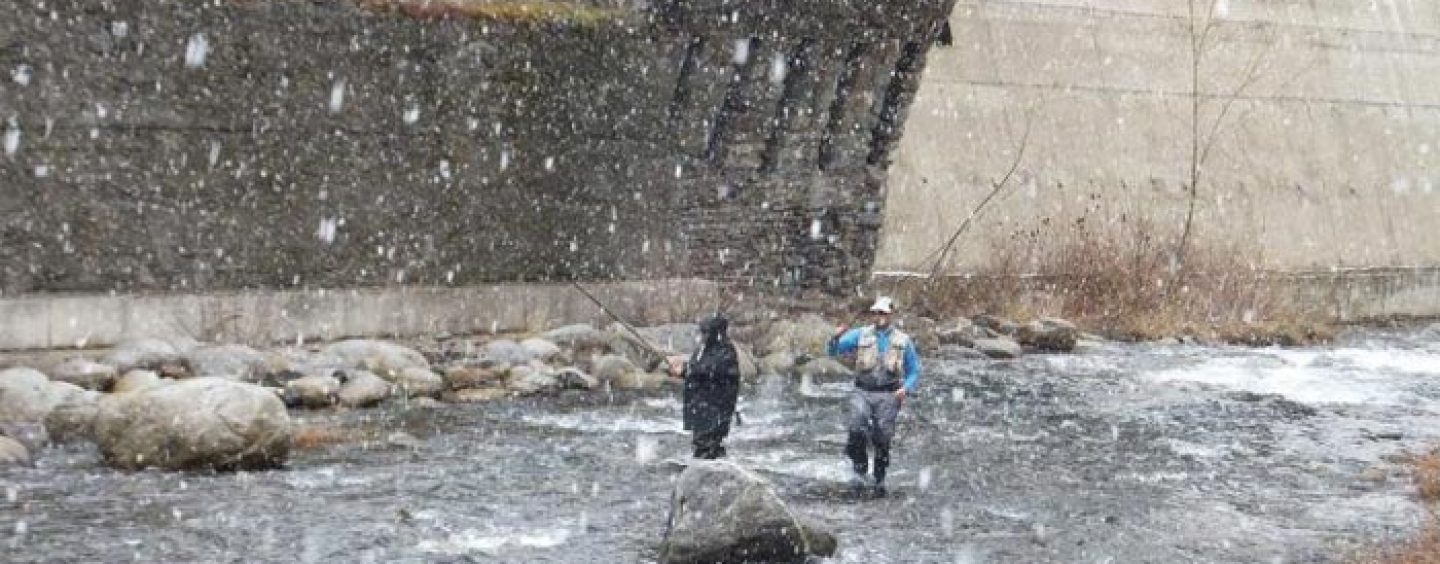 Pezcador al día, principales noticias de pesca (marzo de 2018, 4)