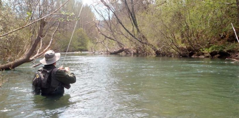 Pezcador al día, principales noticias de pesca (abril 2018, 2)