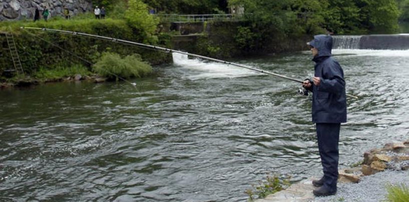 Pezcador al día, principales noticias de pesca (abril 2018, 4)