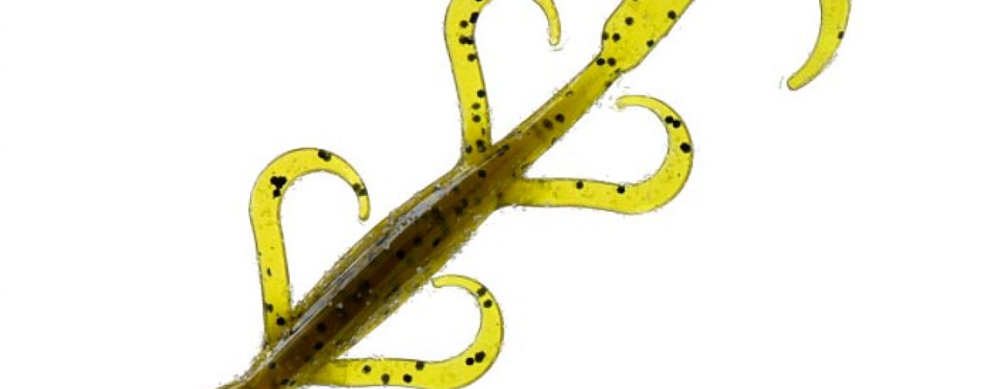 Salamandras de vinilo: Un diamante en bruto para la pesca del bass