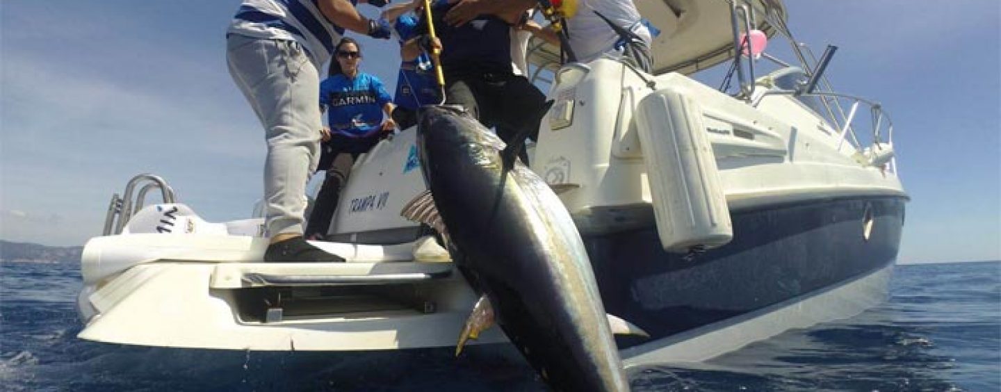 Ciencia, investigación y deporte se aúnan en la Garmin Great Tuna Race