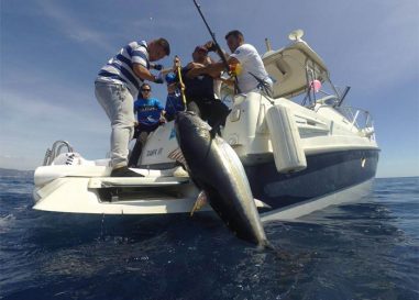 Ciencia, investigación y deporte se aúnan en la Garmin Great Tuna Race