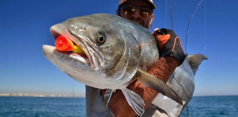 Roosta Popper: el artificial de spinning marítimo que roza la perfección