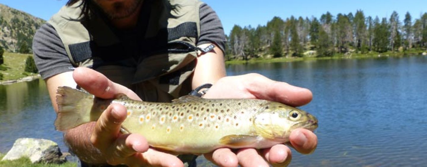 Consejos básicos para la pesca en alta montaña