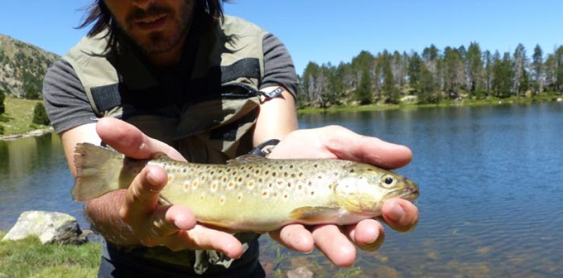 Consejos básicos para la pesca en alta montaña