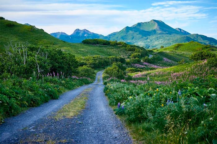 pesca en la isla Kodiak pista de tierra