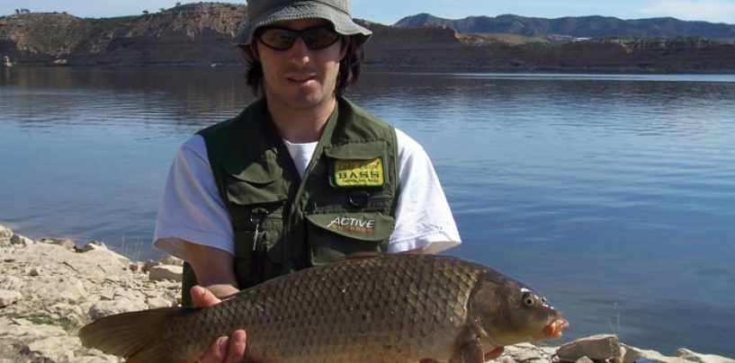 Técnicas, especies y consejos para la pesca de ciprínidos a spinning