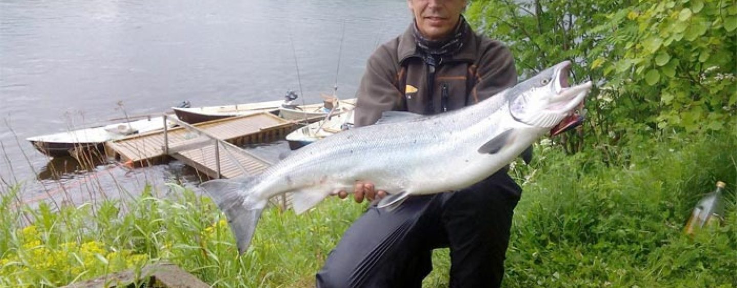 Destinos de pesca: Río Namsen la joya de la corona de los ríos salmoneros noruegos