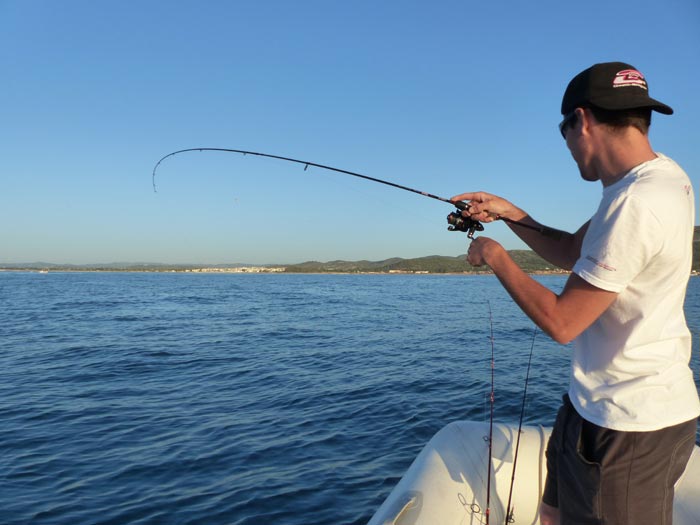 pesca de jurelas