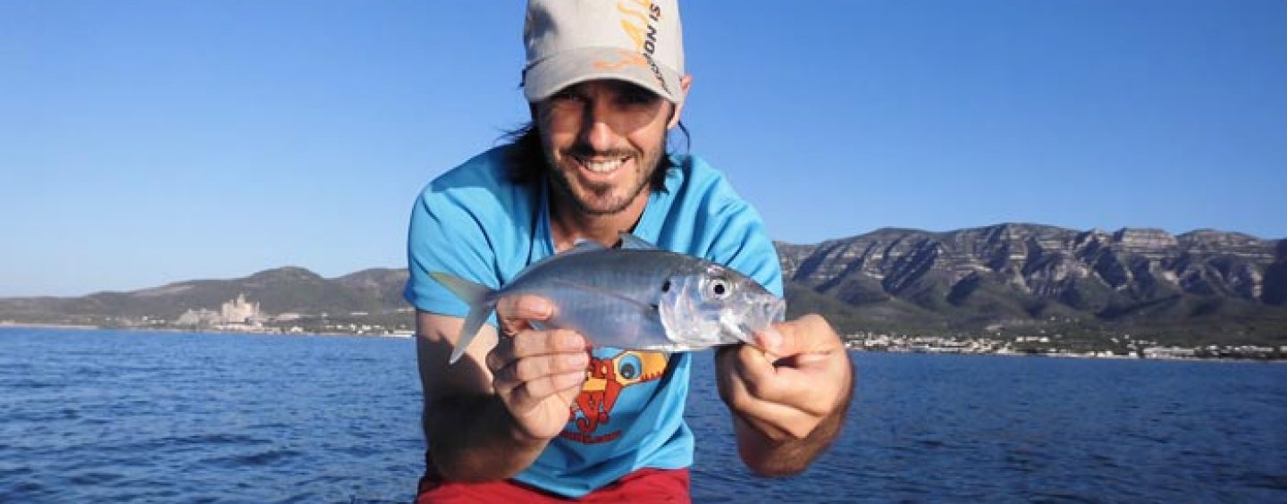 Pesca de jurelas a spinning en verano: dónde, cuándo y cómo capturarlas