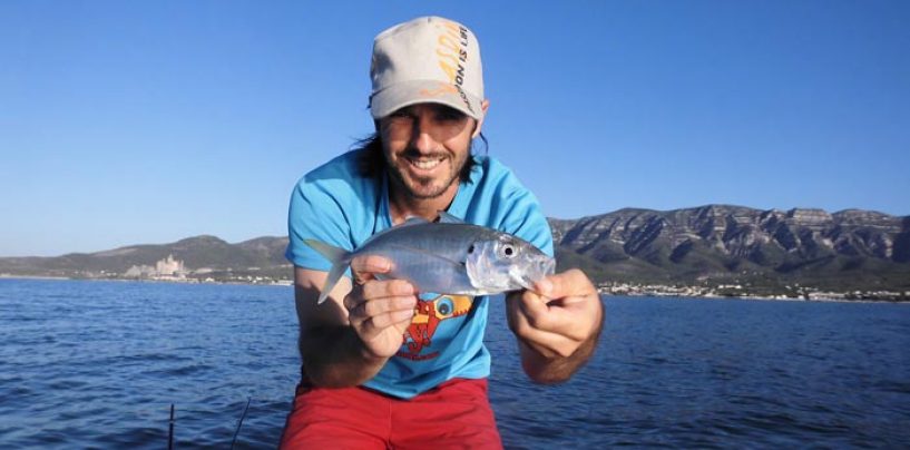 Pesca de jurelas a spinning en verano: dónde, cuándo y cómo capturarlas