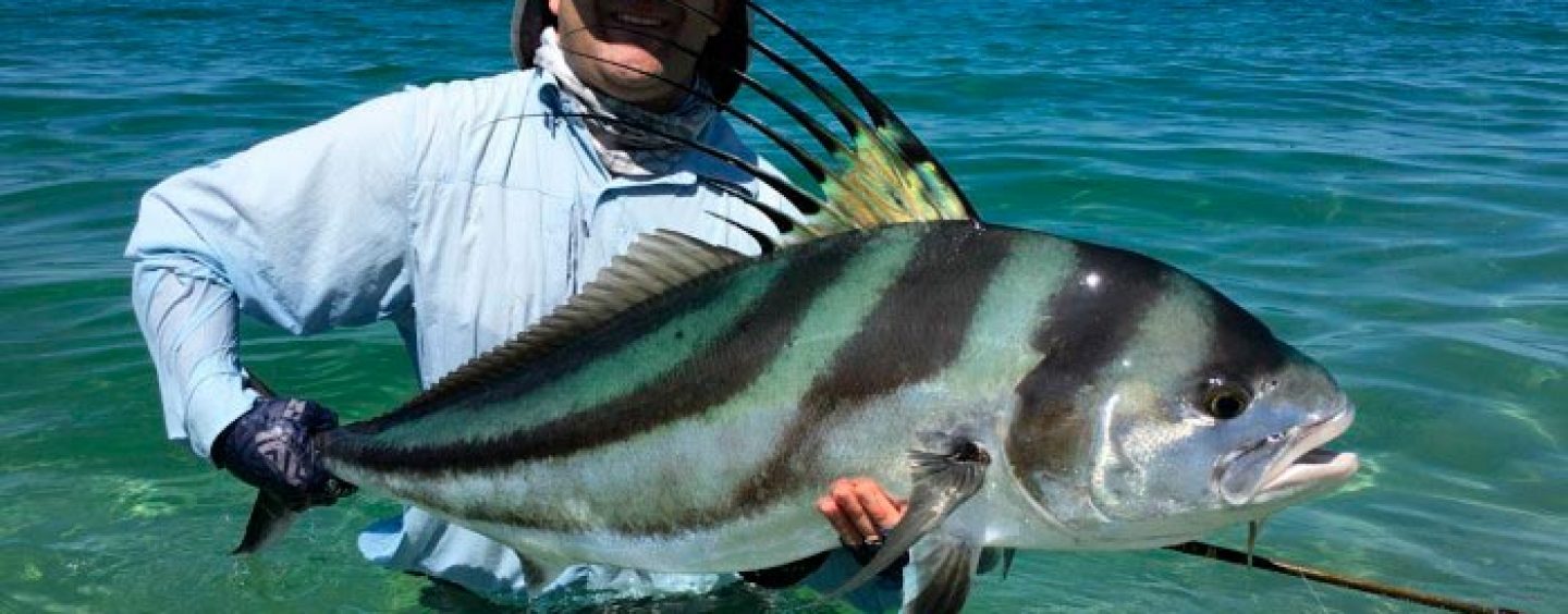 La pesca del Roosterfish en las costas del Pacífico