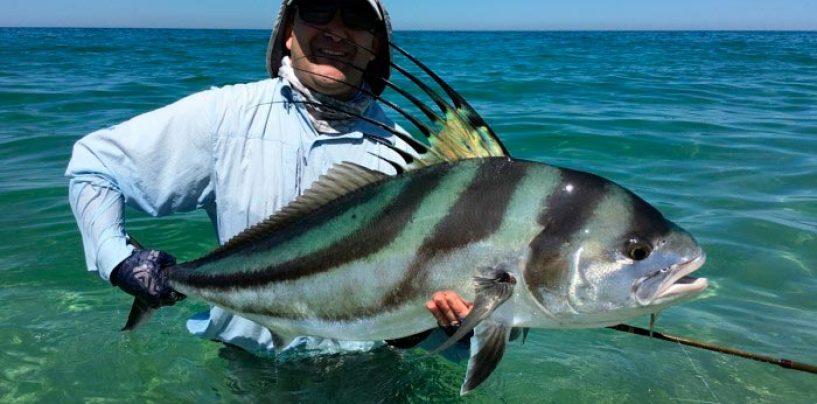 La pesca del Roosterfish en las costas del Pacífico