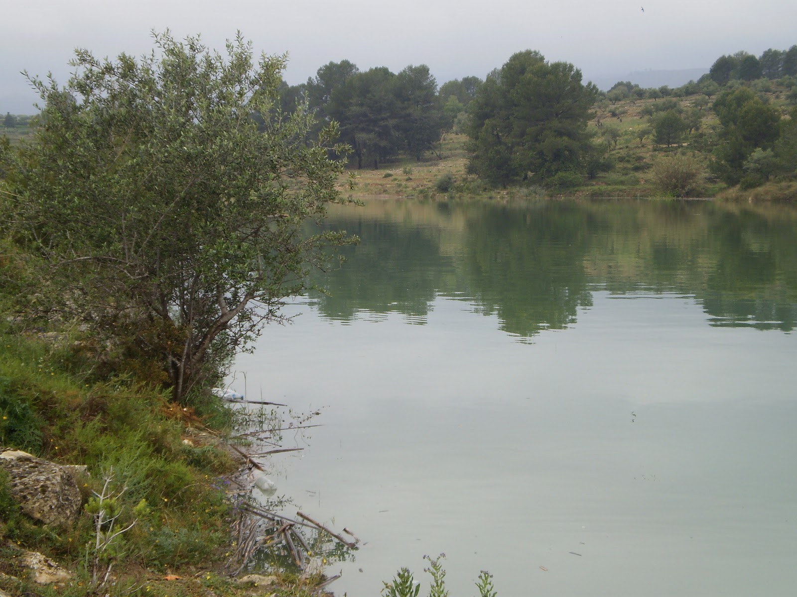 Embalse de Bellús