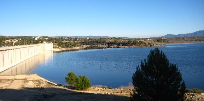 Pesca en el embalse de Bellús, la joya del río Albaida