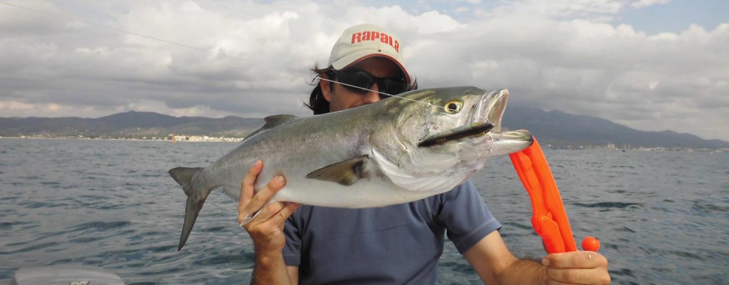 Pesca con stickbait hundido para el mar: cómo, cuándo y dónde