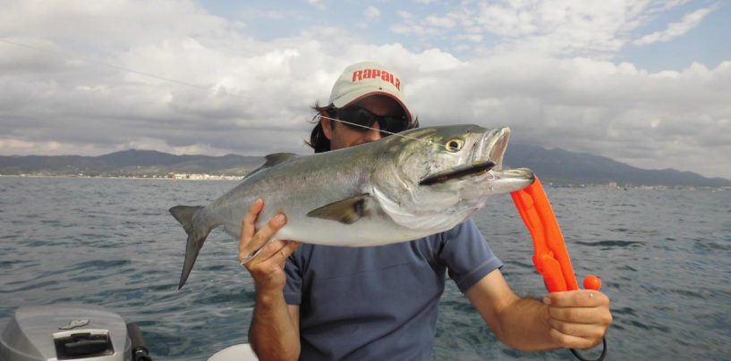 Pesca con stickbait hundido para el mar: cómo, cuándo y dónde