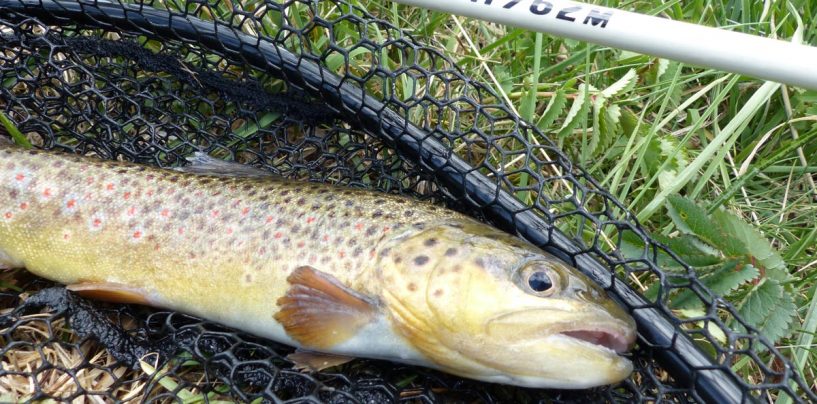 Cómo actuar en la pesca a spinning en ríos de alta montaña