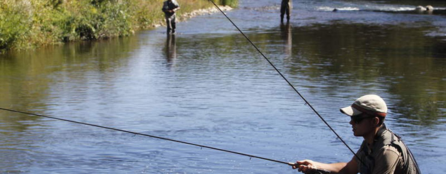 Cómo seleccionar tu equipo si quieres iniciarte en la pesca