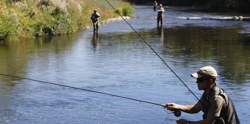 Cómo seleccionar tu equipo si quieres iniciarte en la pesca