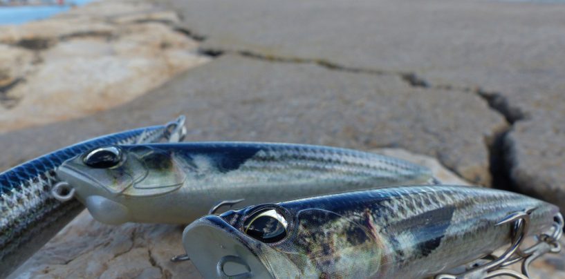 Cómo elegir los colores de los señuelos de pesca