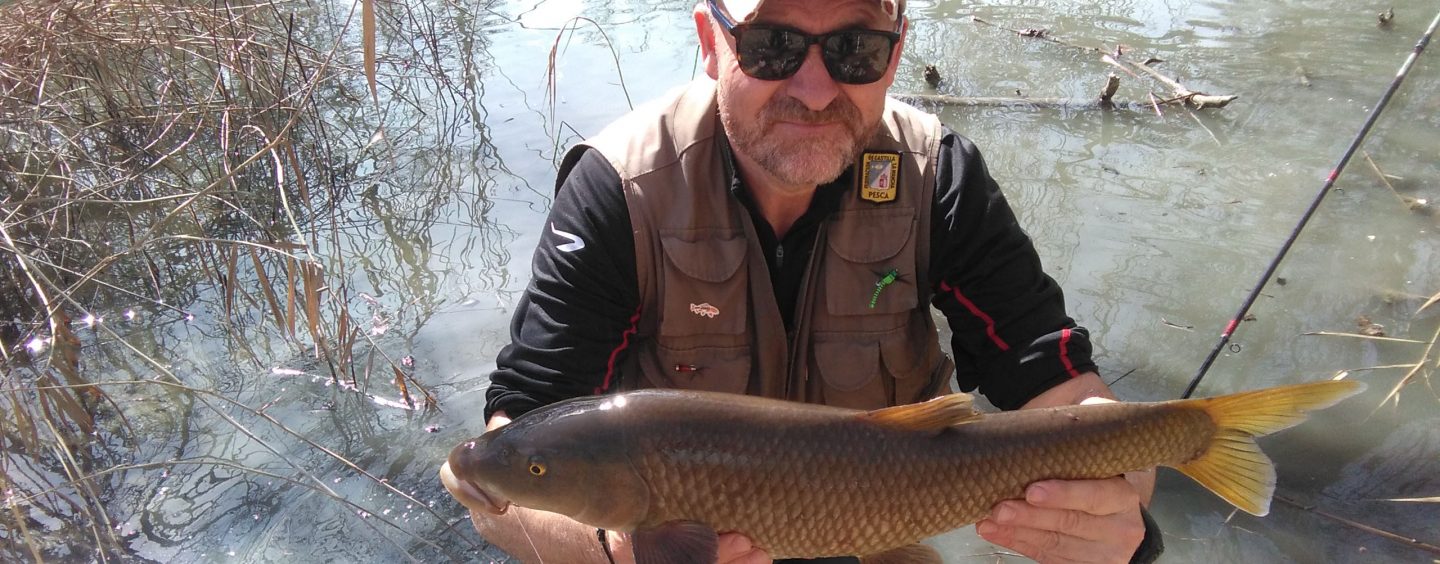 Cómo desenganchar un barbo trabado y los peligros del río