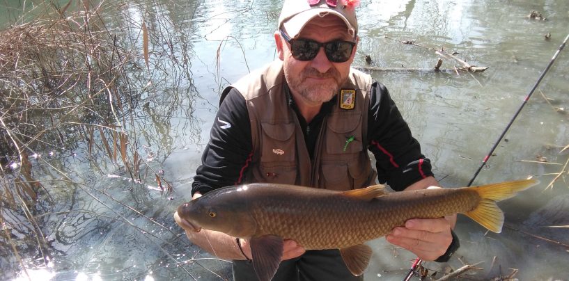 Cómo desenganchar un barbo trabado y los peligros del río