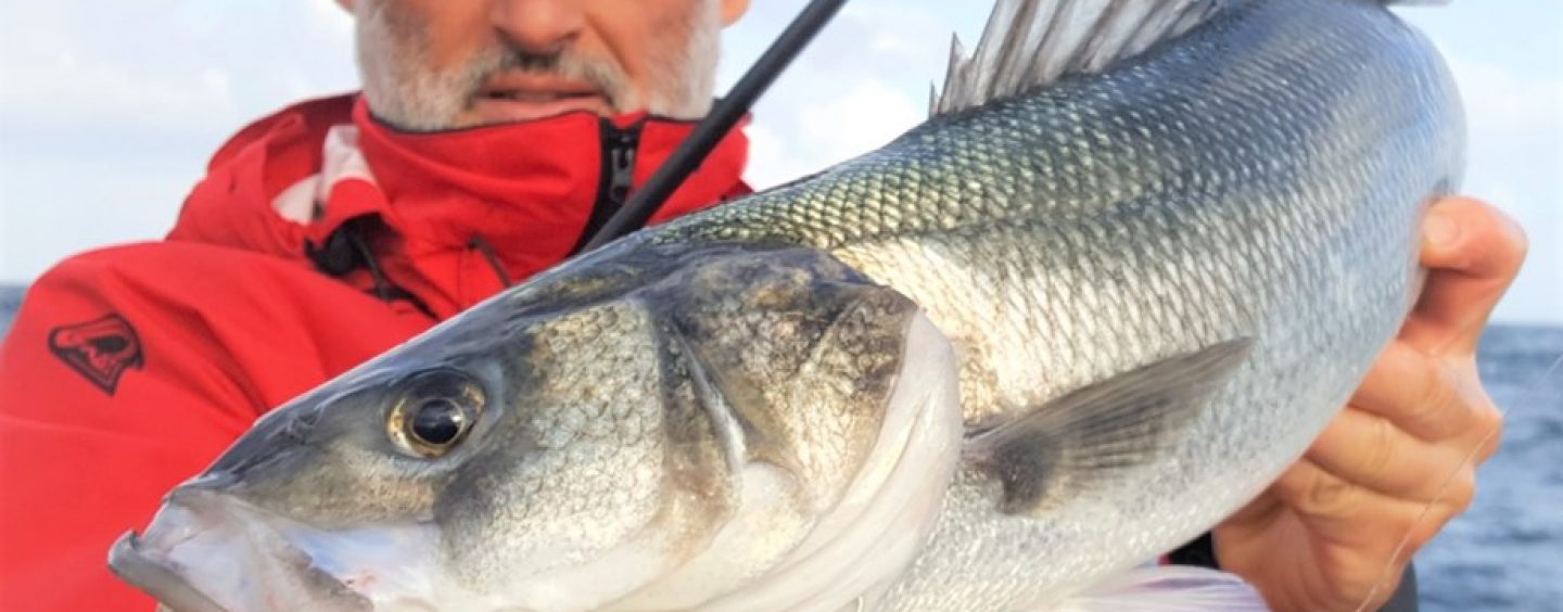 Tide Minnow Slim 175 SP de DUO: Una novedad muy esperada para los pescadores de spinning