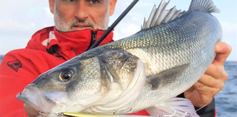 Tide Minnow Slim 175 SP de DUO: Una novedad muy esperada para los pescadores de spinning