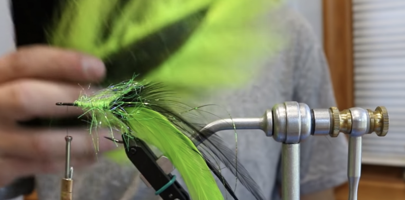 Vídeo de pesca: Streamers para lucio