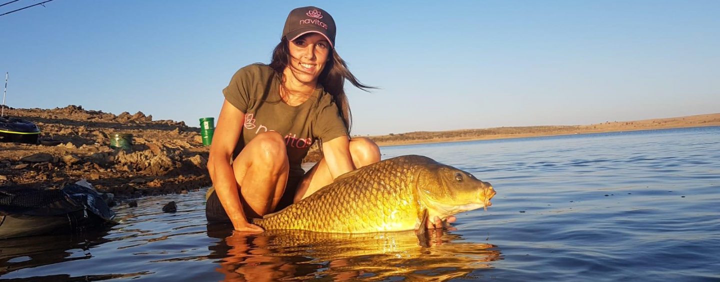 Montajes para Carpfishing: Para todos los gustos