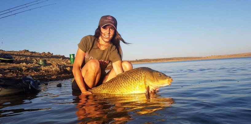 Montajes para Carpfishing: Para todos los gustos