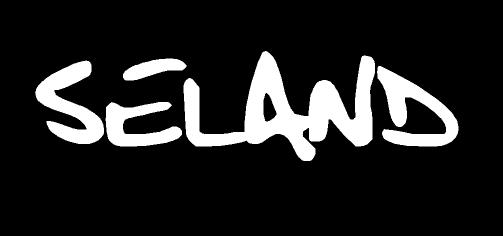 Logo Seland