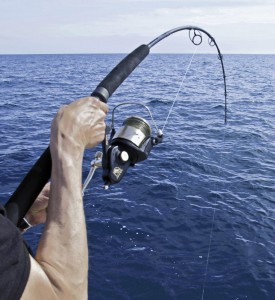 pesca_jigging-275x300.jpg